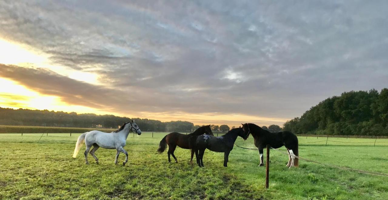 't Heidepaleis Bed and Breakfast Garderen Buitenkant foto