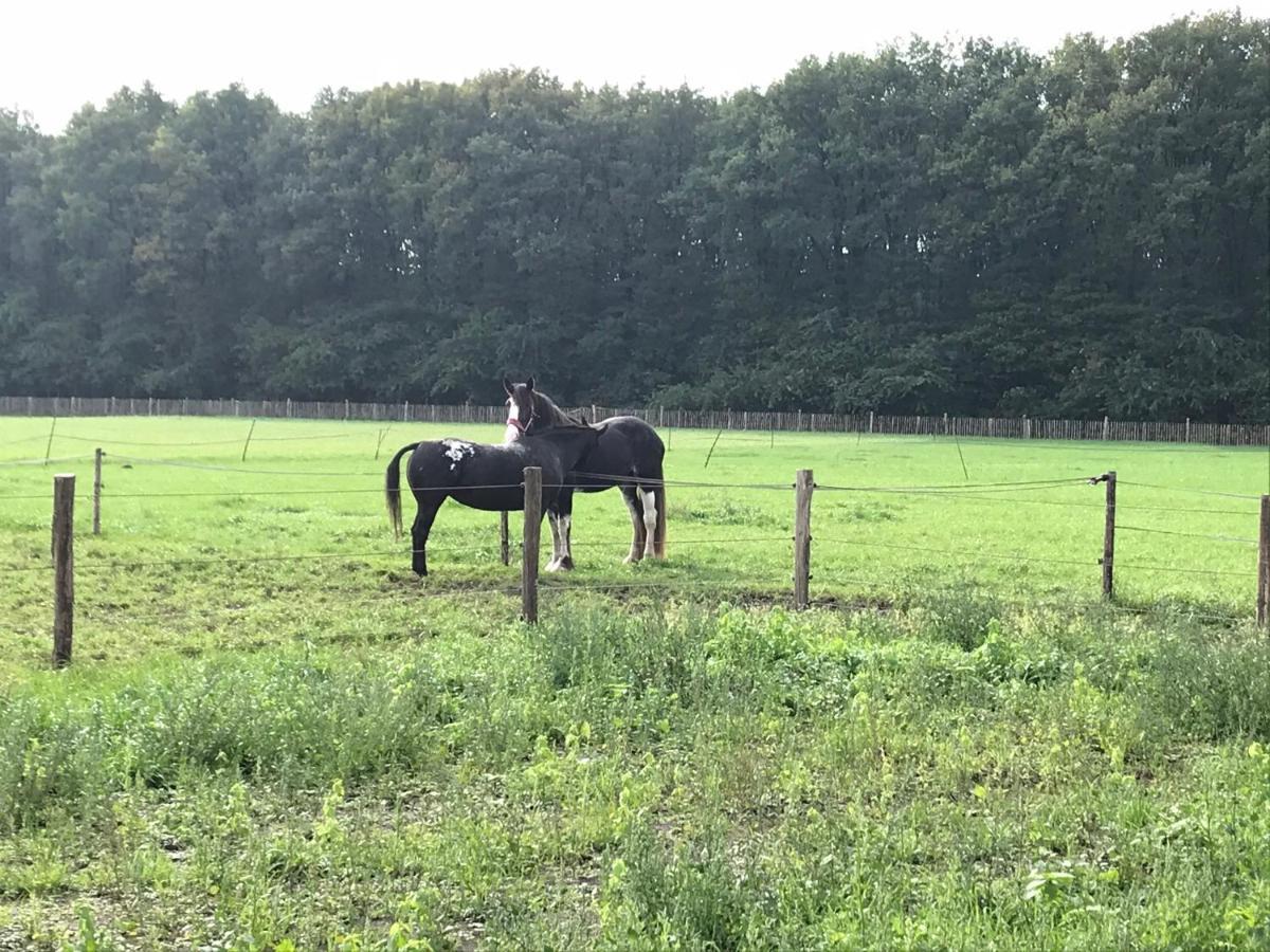 't Heidepaleis Bed and Breakfast Garderen Buitenkant foto