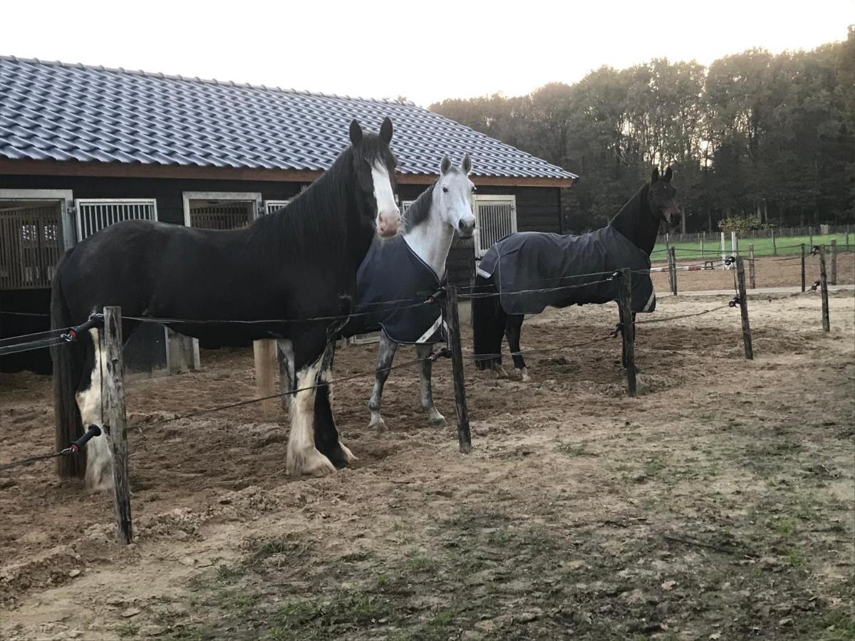 't Heidepaleis Bed and Breakfast Garderen Buitenkant foto