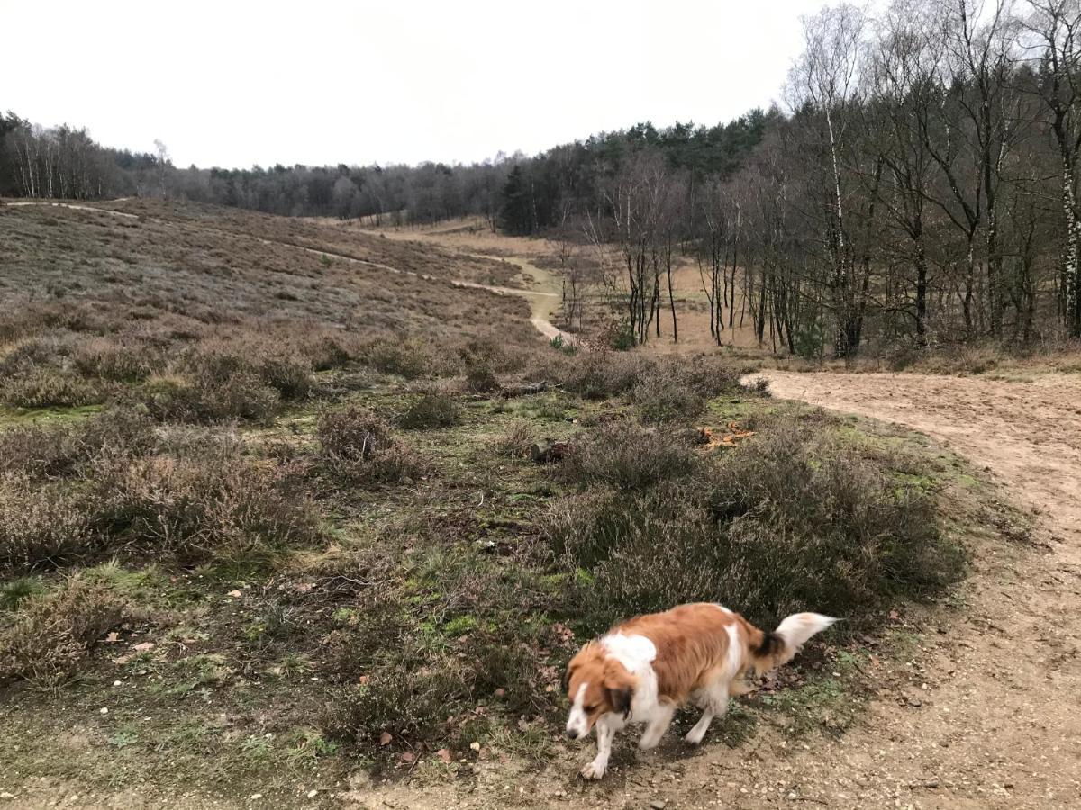 't Heidepaleis Bed and Breakfast Garderen Buitenkant foto