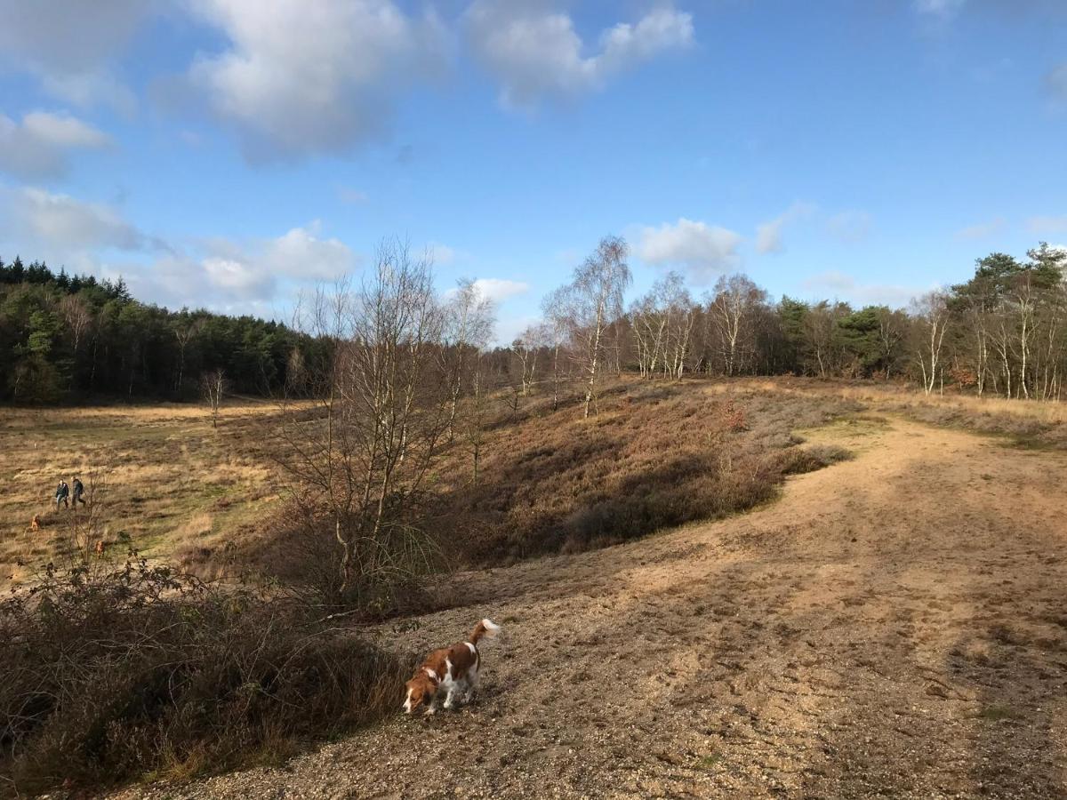 't Heidepaleis Bed and Breakfast Garderen Buitenkant foto