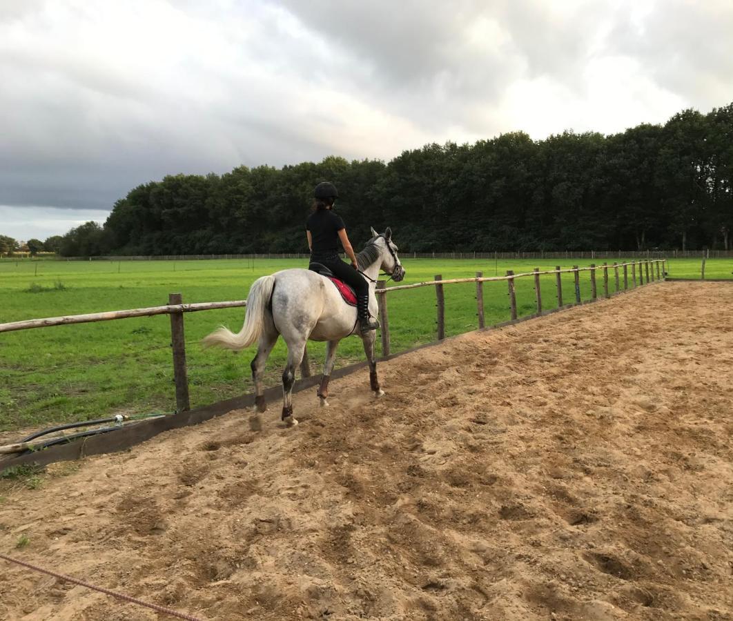 't Heidepaleis Bed and Breakfast Garderen Buitenkant foto