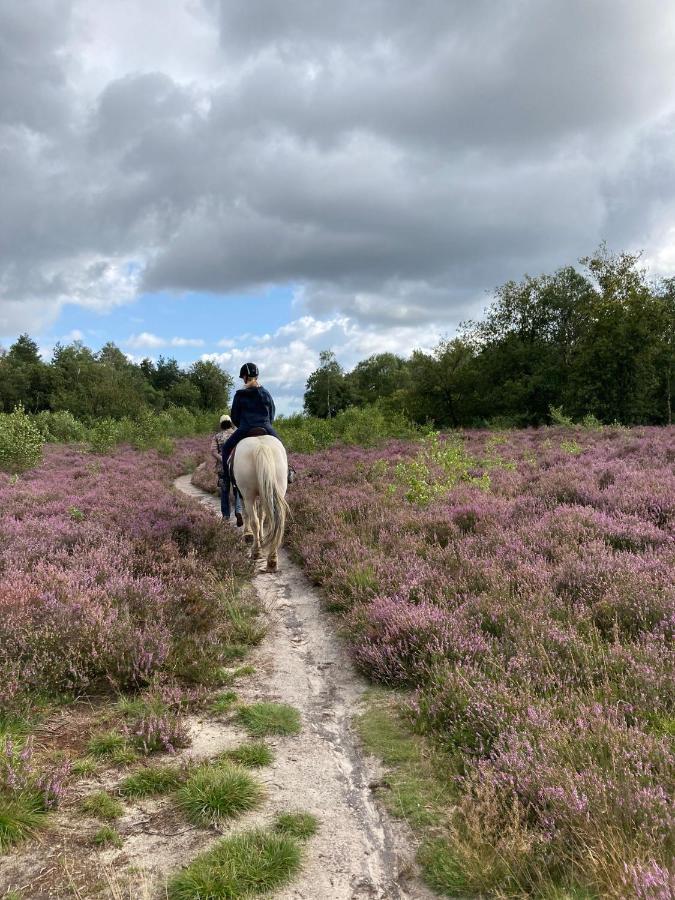 't Heidepaleis Bed and Breakfast Garderen Buitenkant foto